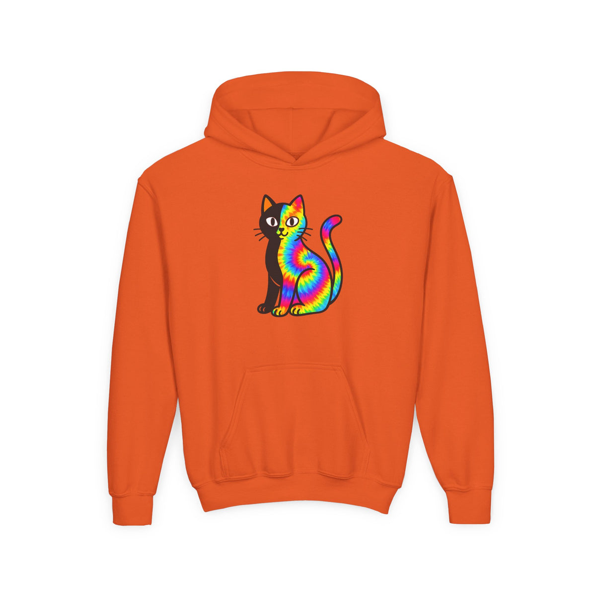 The Black Cat Changing Colors Youth Pullover Hoodie