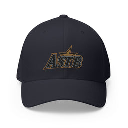 Houston Anyone Seen The Bridge Flex Fit Cap