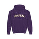 Baltimore Raven Kids Pullover Hoodie