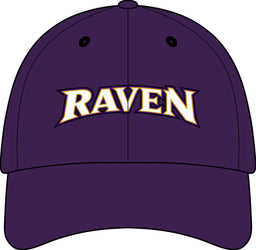 Baltimore Raven Stretch-Tek Adjustable Cap