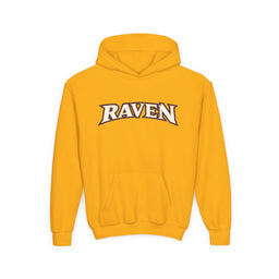 Baltimore Raven Kids Pullover Hoodie