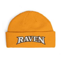 Baltimore Raven Winter Beanie